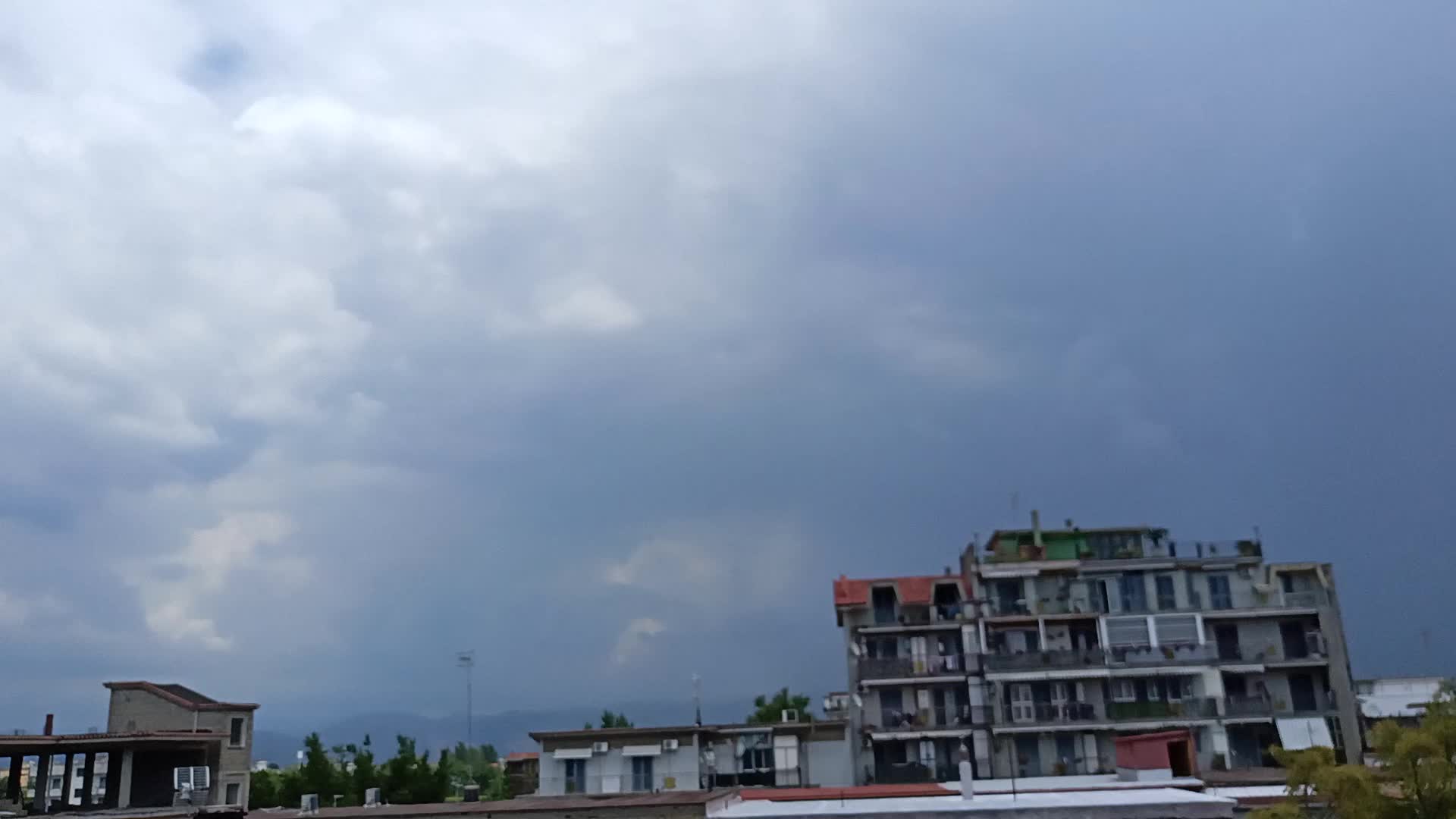 30 Maggio 2023 ore 13:48 - Il raccolto dopo la Semina