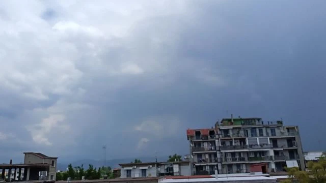 30 Maggio 2023 ore 13:48 - Il raccolto dopo la Semina