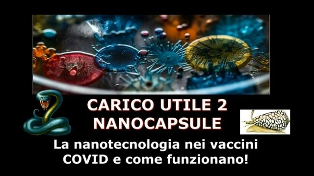 CARICO UTILE - Parte 2