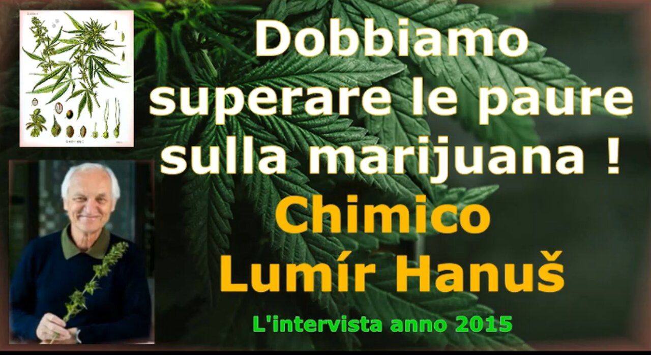 Dobbiamo superare le paure sulla marijuana, afferma il famoso chimico  Lumír Hanuš